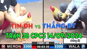 Trận 38 CPC3 14/09/2024 - Anh Tin Đức Hòa Gặp Anh Thắng Bến Tre