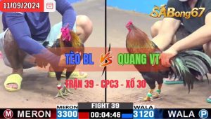 Trận 39 CPC3 11/09/2024 Anh Tèo BL Đá Xổ Anh Quang VT