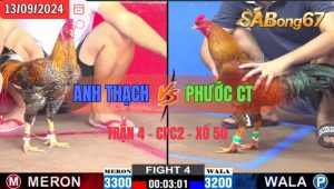 Trận 4 CPC2 13/09/2024 Anh Thạch Đá Xổ Anh Phước CT