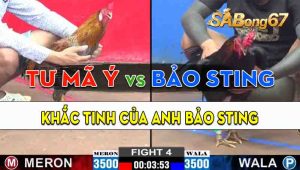 Trận 4 CPC2 27/09/2024 - Anh Tư Mã Ý Khắc Tinh Của Anh Bảo Sting