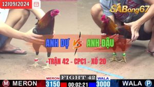 Trận 42 CPC1 12/09/2024 Anh Dự Đá Xổ Anh Đậu