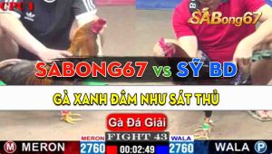 Trận 43 Giải CPC1 23/09/2024 - Anh Sỹ Sài Gòn Đá Đòn Hiểm Hạ Sabong67