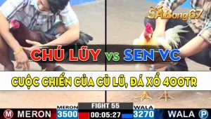 Trận 55 CPC3 28/09/2024 - Chú Lũy Và Anh Sen Vĩnh Châu, Đá Xổ 400 Triệu