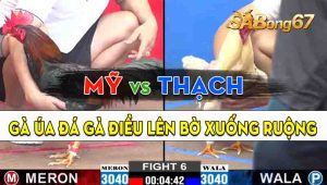 Trận 6 CPC2 27/09/2024 - Anh Thạch Nhờ Anh Bảo Sting Nài Gà