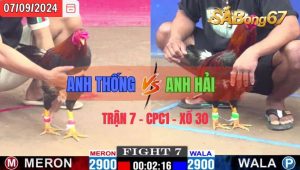 Trận 7 CPC1 07/09/2024 Anh Thống Đá Xổ Anh Hải