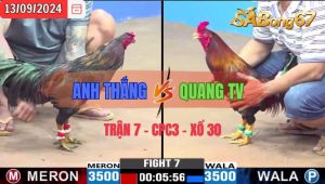 Trận 7 CPC3 13/09/2024 Anh Thắng VT Đá Xổ Anh Quang TV