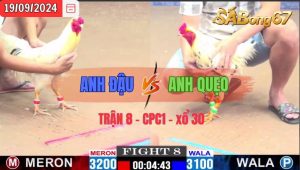 Trận 8 CPC1 19/09/2024 Anh Đậu Đá Xổ Anh Quẹo