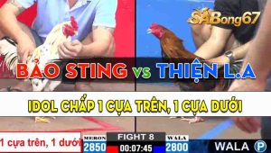 Trận 8 CPC2 27/09/2024 - Anh Bảo Sting Chấp Ngông Nhưng Đẳng Cấp