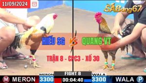 Trận 8 CPC3 11/09/2024 Anh Hiếu SG Đá Xổ Anh Quang VT