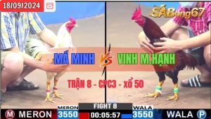 Trận 8 CPC3 18/09/2024 Má Minh Đá Xổ Anh Vinh M.Hạnh