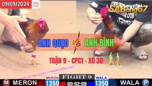 Trận 9 CPC1 09/09/2024 Anh Quẹo Đá Xổ Anh Bình