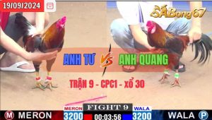 Trận 9 CPC1 19/09/2024 Anh Tư Đá Xổ Anh Quang