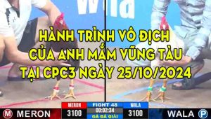 Hành Trình Vô Địch Của Anh Mắm Vũng Tàu Tại CPC3 Ngày 25/10/2024