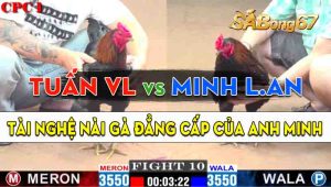 Trận 10 CPC1 08/10/2024 - Anh Minh Long An Nài Gà Quá Đẳng Cấp