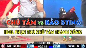 Trận 10 CPC2 25/10/2024 - Anh Bảo Sting Phục Thù Chú Tám Thành Công