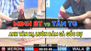 Trận 10 CPC3 15/10/2024 - Anh Tân Tiền Giang Đối Đầu Anh Minh Bến Tre