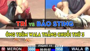 Trận 11 CPC2 11/10/2024 - Anh Bảo Sting Giành Chuỗi Thắng Thứ 3