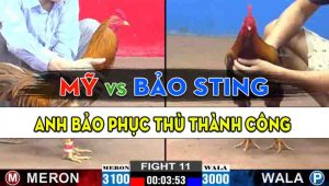 Trận 11 CPC2 13/10/2024 - Anh Bảo Sting Phục Thù Anh Mỹ Liều Thành Công