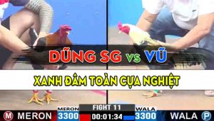 Trận 11 CPC3 24/10/2024 - Gà Anh Vũ Đâm Cựa Nghiệt Hạ Anh Dũng Sài Gòn