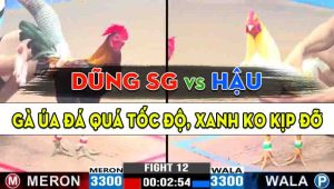 Trận 12 CPC3 29/10/2024 - Gà Anh Hậu Đá Tốc Độ Hạ Anh Dũng Sài Gòn