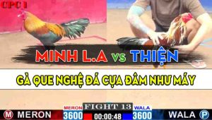 Trận 13 CPC1 17/10/2024 - Gà Anh Minh Long An Đâm Cựa Như Cái Máy