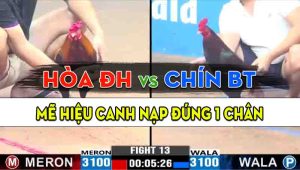 Trận 13 CPC3 15/10/2024 - Gà Anh Chín Bến Tre Canh Nạp Đúng 1 Chân