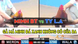 Trận 13 CPC3 29/10/2024 - Gà Anh Minh Long An Đâm Như Sát Thủ