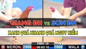 Trận 14 CPC3 17/10/2024 - Anh Giang Đức Hòa Đụng Anh Sơn Đồng Nai