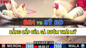 Trận 15 CPC1 21/10/2024 - Gà Anh Bin Đá Cựa Đâm Quá Nghiệt