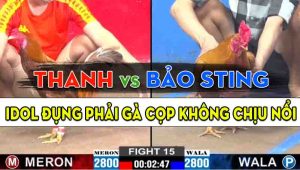 Trận 15 CPC2 25/10/2024 - Anh Thanh Hạ Anh Bảo Sting Đầy Thuyết Phục