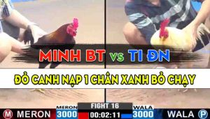 Trận 16 CPC3 12/10/2024 - Gà Minh Bến Tre Canh Chặn Quá Khôn Khéo