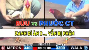 Trận 16 CPC3 22/10/2024 - Anh Phước Cần Thơ Dí Anh Bửu Ăn 2 Và Cái Kết