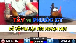 Trận 19 CPC2 15/10/2024 - Anh Tây Có Pha Lật Kèo Hạ Anh Phước Cần Thơ