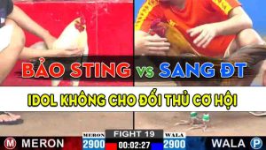 Trận 19 CPC2 25/10/2024 - Gà Hiệu Anh Bảo Sting Đá Thì Khỏi Phải Bàn