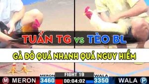 Trận 19 CPC3 14/10/2024 - Anh Tuấn Tiền Giang Và Anh Tèo Bảo Lộc