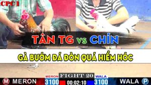 Trận 20 CPC1 10/10/2024 - Anh Chín Hạ Anh Tân Tiền Giang Nhanh Gọn