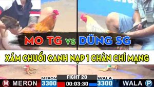 Trận 20 CPC3 17/10/2024 - Anh Mo Tiền Giang Gặp Anh Dũng Sài Gòn