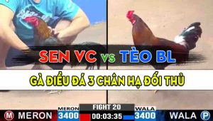 Trận 20 CPC3 25/10/2024 - Anh Tèo Bảo Lộc Hạ Gọn Anh Sen Vĩnh Châu