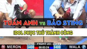 Trận 23 CPC2 15/10/2024 - Anh Bảo Sting Phục Thù Anh Tuấn Anh