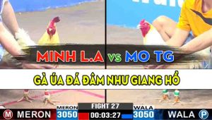 Trận 27 CPC3 26/10/2024 - Gà Anh Minh Long An Đá Đâm Như Giang Hồ