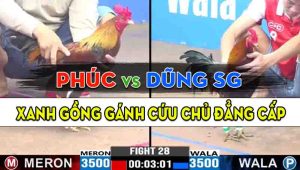 Trận 28 CPC3 26/10/2024 - Gà Anh Dũng Sài Gòn Có Pha Lật Ngược Thế Cờ