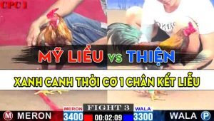 Trận 3 CPC1 10/10/2024 - Gà Anh Thiện Đá Canh Chặn Quá Khéo Léo