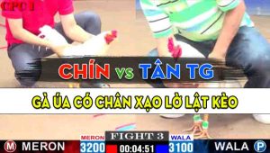 Trận 3 CPC1 17/10/2024 - Gà Anh Tân Tiền Giang Có Chân Xạo Lờ