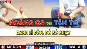 Trận 33 CPC1 14/10/2024 - Gà Anh Tân Tiền Giang Lì Đòn Cứu Chủ