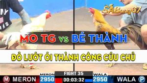 Trận 35 CPC3 01/10/2024 - Gà Anh Mo Tiền Giang Lướt Ói Cứu Chủ