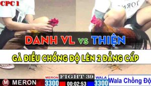 Trận 39 CPC1 10/10/2024 - Gà Điều Anh Thiện Chồng Độ Lên 2 Đẳng Cấp