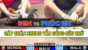 Trận 40 CPC1 21/10/2024 - Anh Đen Đụng Độ Với Anh Phúc Biên Hòa