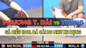 Trận 49 CPC3 24/10/2024 - Gà Anh Phương Tóc Dài Đá Cái Bo Như Xe Đụng