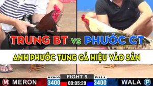 Trận 5 CPC2 23/10/2024 - Gà Anh Phước Cần Thơ Đâm Toàn Cựa Nghiệt