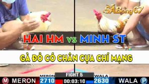 Trận 5 CPC3 01/10/2024 - Gà Anh Hai Hóc Môn Có Chân Cựa Chí Mạng